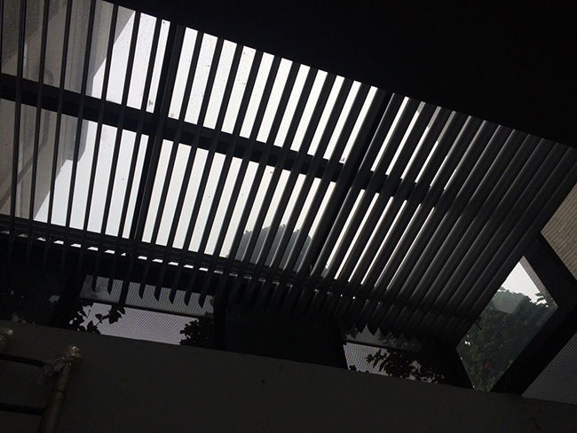 �綯����Ҷ